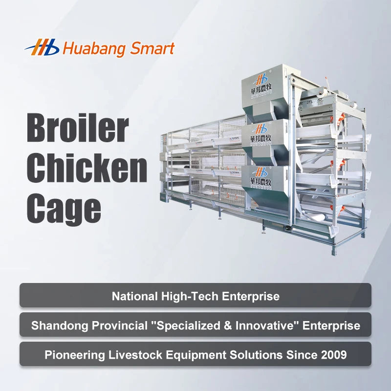 Commercial Broiler Chicken Cages Poultry Cage Modules Fully Automatic Broiler Cage System Large Scale Farm Use