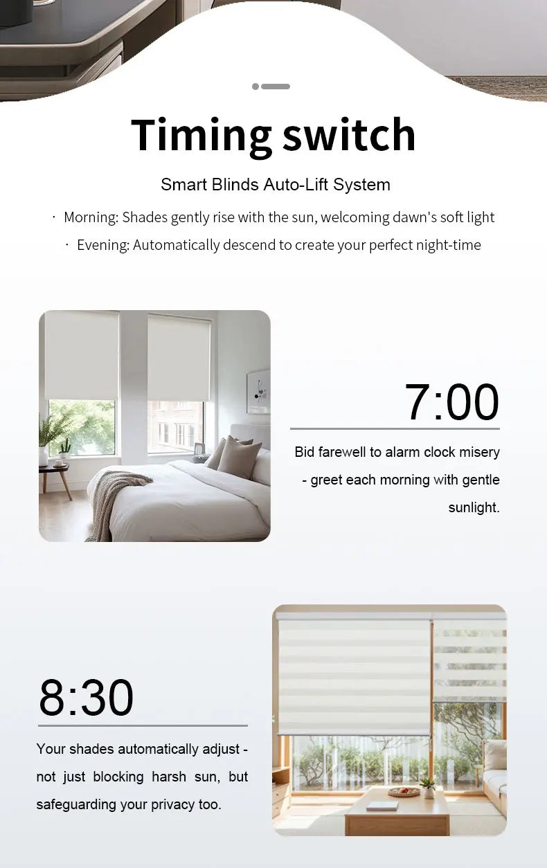 Built-in WiFi Smart DIY Motorized Chain curtain motor （plug-in model），APP/voice/remote timer settings (without gateway）