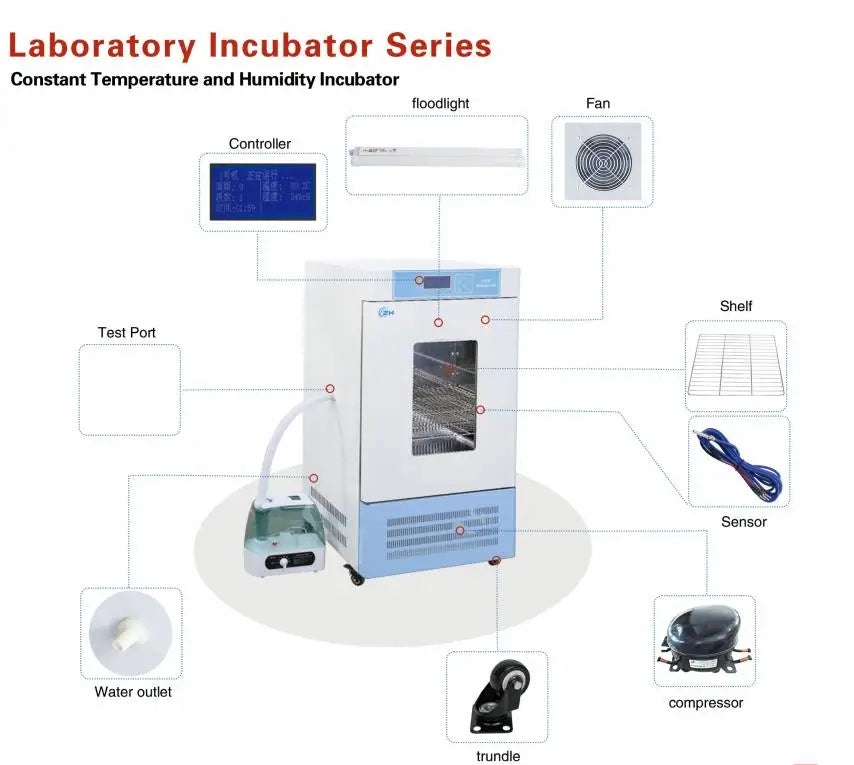 Laboratory Biochemical Incubator With Digital Temperature & Humidity Control 450L Capacity Model HWS-450