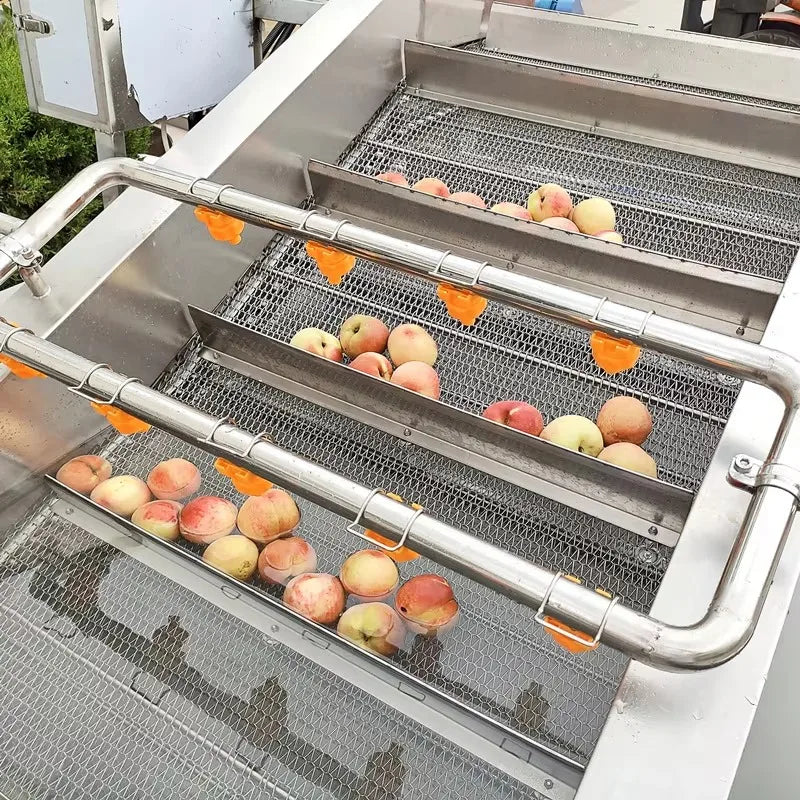 Customized Ozone Air Bubble Washing Machine Commercial Fruit Vegetable Cleaner High Efficiency Pesticide Removal Large Capacity