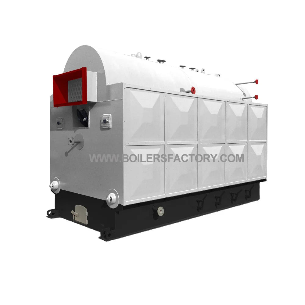 Coal and Biomass Fired Steam Boiler 2T 3T 4T 5T Capacity Steam Engine System for Rice Mill Automatic Feeding Low Emission
