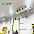 Smart Customized Automated Logistics Cold Storage with Intelligent System Refrigeration Chamber