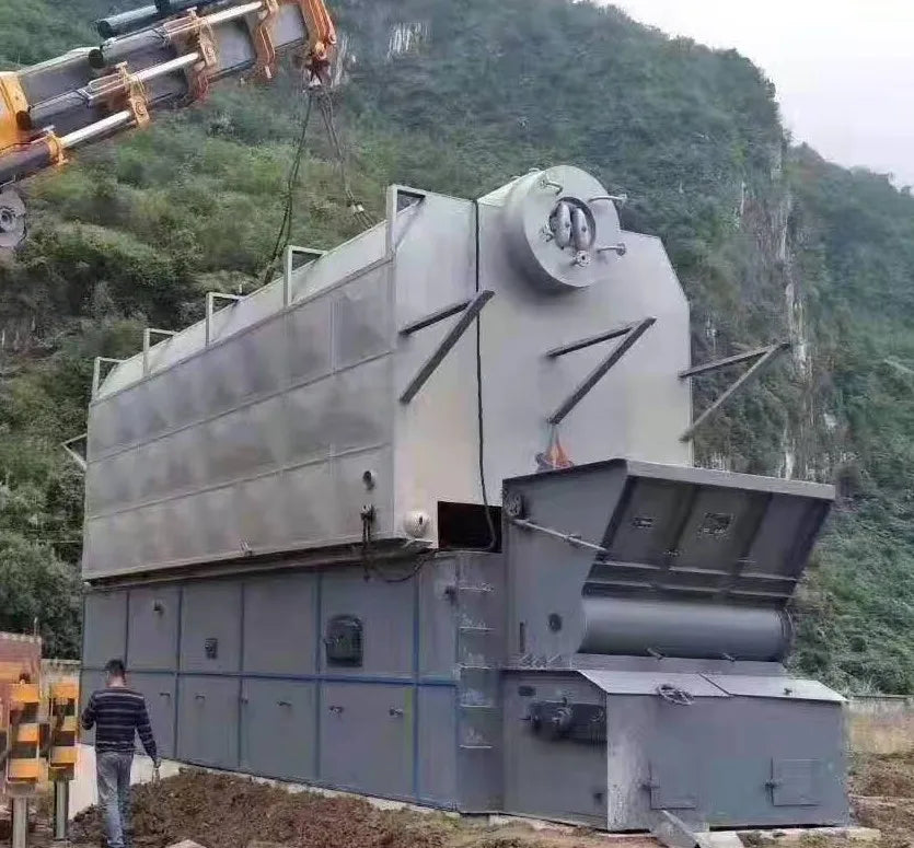 Coal and Biomass Fired Steam Boiler 2T 3T 4T 5T Capacity Steam Engine System for Rice Mill Automatic Feeding Low Emission