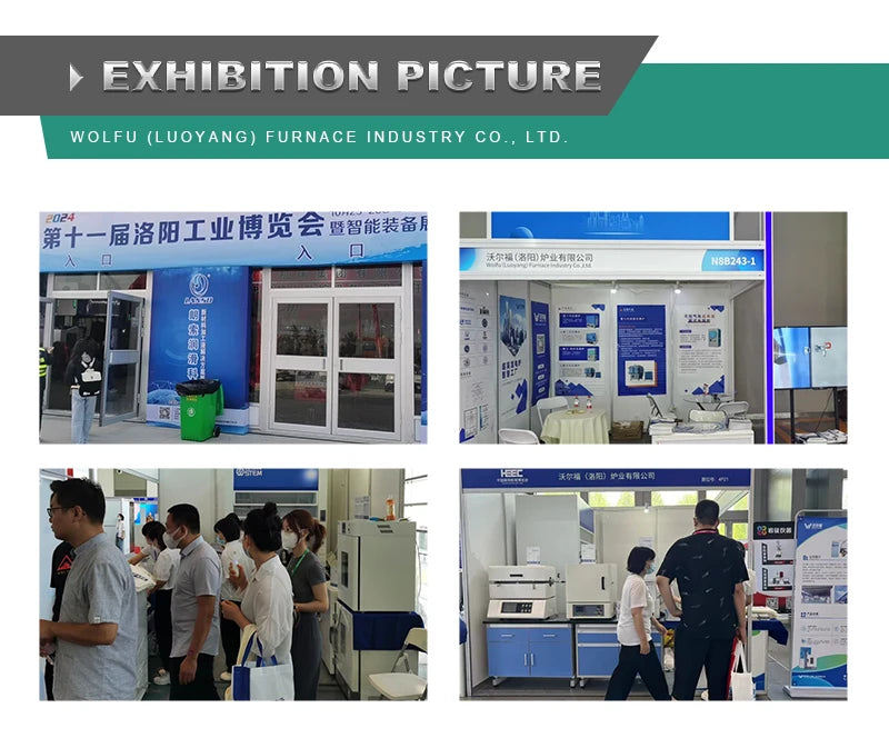 Anaerobic Incubator With Anoxic Environment For Laboratory And Factory Use Laboratory Constant Temperature Equipment