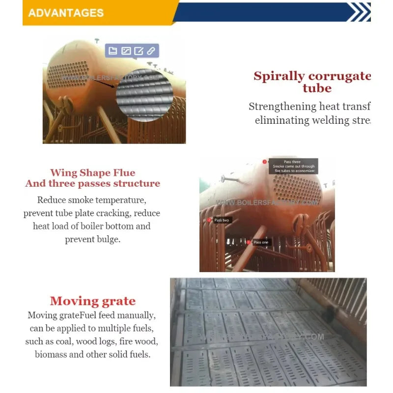 Coal and Biomass Fired Steam Boiler 2T 3T 4T 5T Capacity Steam Engine System for Rice Mill Automatic Feeding Low Emission