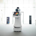 Commercial AI Greeting Reception Robot - Customized Factory Humanoid Guiding Welcome Automatic Service Robot