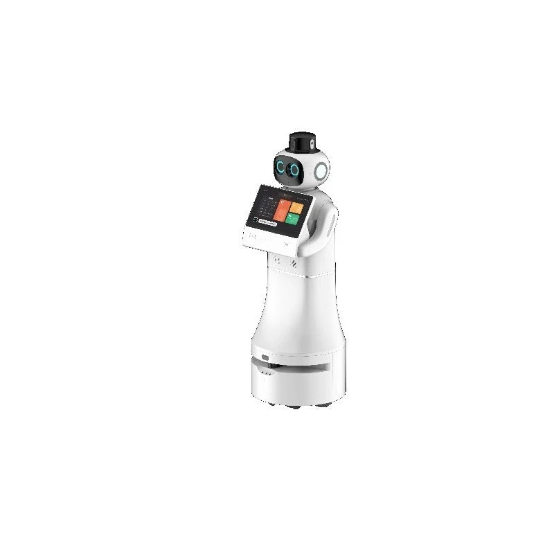 Commercial AI Greeting Reception Robot - Customized Factory Humanoid Guiding Welcome Automatic Service Robot