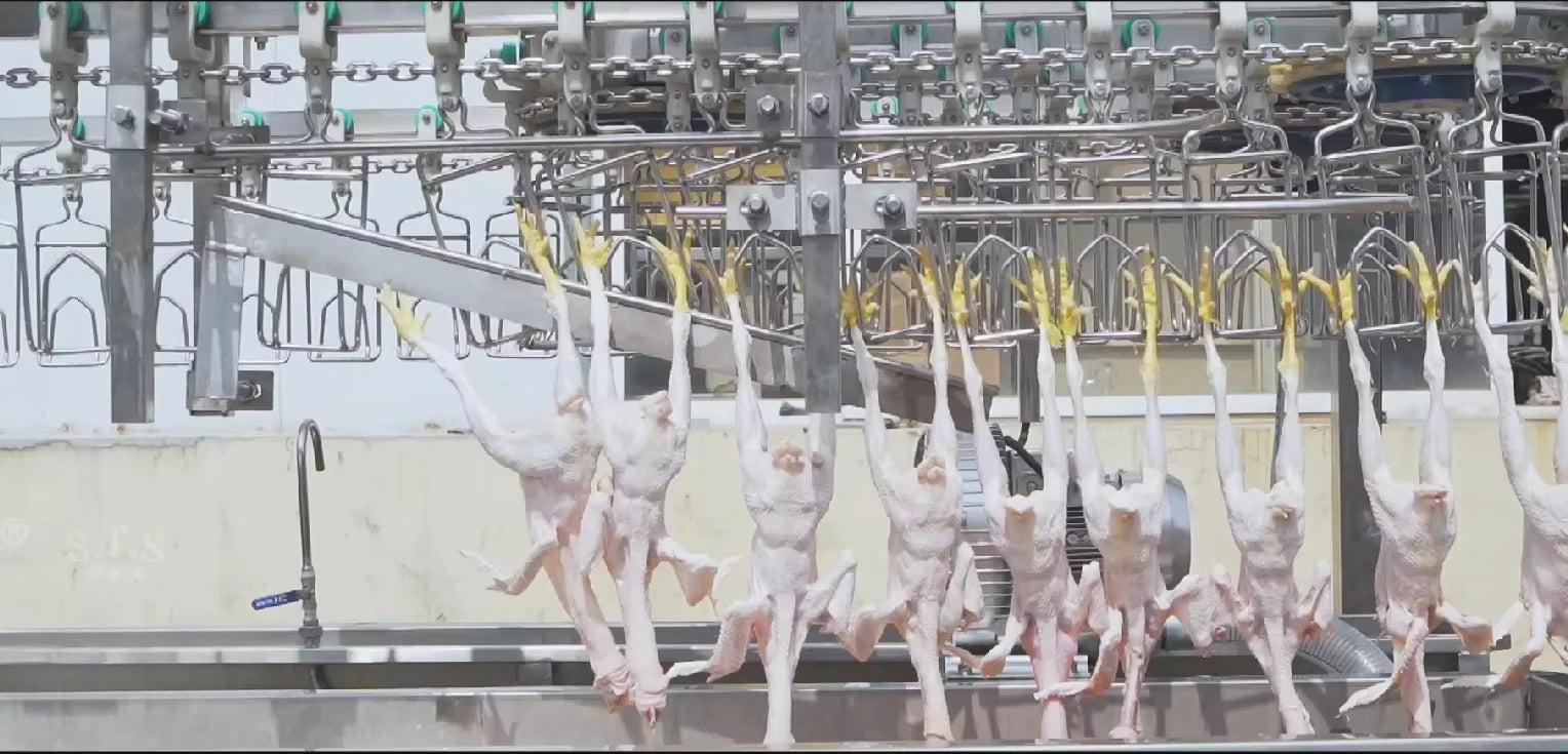 Factory Customized Chicken Slaughtering Line High Efficiency Poultry Slaughterhouse Commercial Slaughter Machine