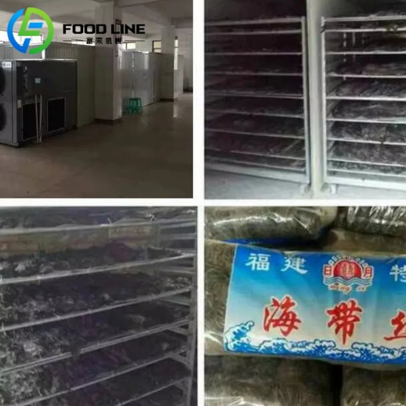 Professional Heat Pump Dryer Industrial Grade Heat Pump Drying System for Commercial Processing