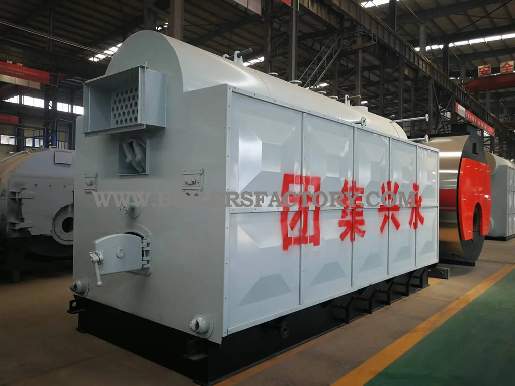Coal and Biomass Fired Steam Boiler 2T 3T 4T 5T Capacity Steam Engine System for Rice Mill Automatic Feeding Low Emission
