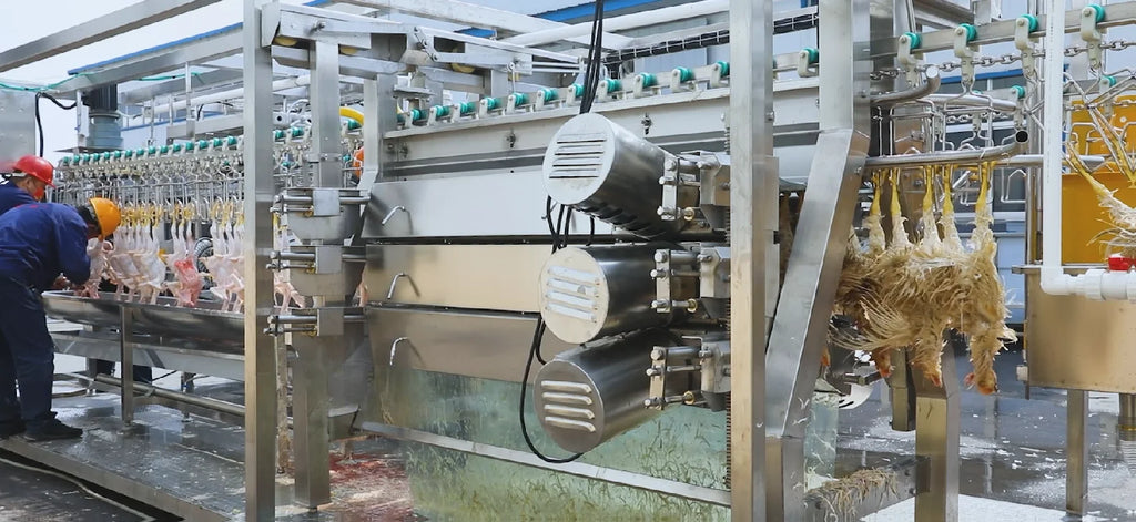 Factory Customized Chicken Slaughtering Line High Efficiency Poultry Slaughterhouse Commercial Slaughter Machine