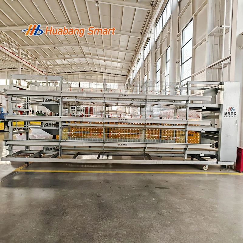 Commercial Broiler Chicken Cages Poultry Cage Modules Fully Automatic Broiler Cage System Large Scale Farm Use