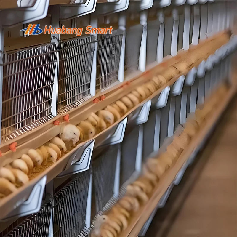 Commercial Broiler Chicken Cages Poultry Cage Modules Fully Automatic Broiler Cage System Large Scale Farm Use