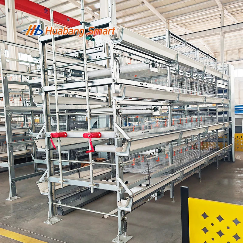 Commercial Broiler Chicken Cages Poultry Cage Modules Fully Automatic Broiler Cage System Large Scale Farm Use