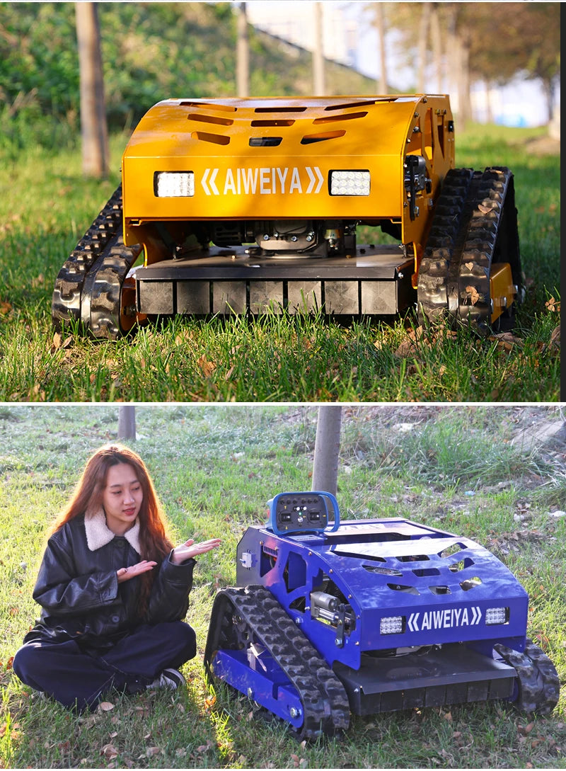 Customized Small High Power Remote Control Robot Lawn Mower CE EPA Approved Free Snow Shovel for Home Garden