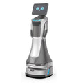 Customized Dual Screen Showroom Robot - Commercial AI Humanoid Welcome Reception Guided Tour Robot