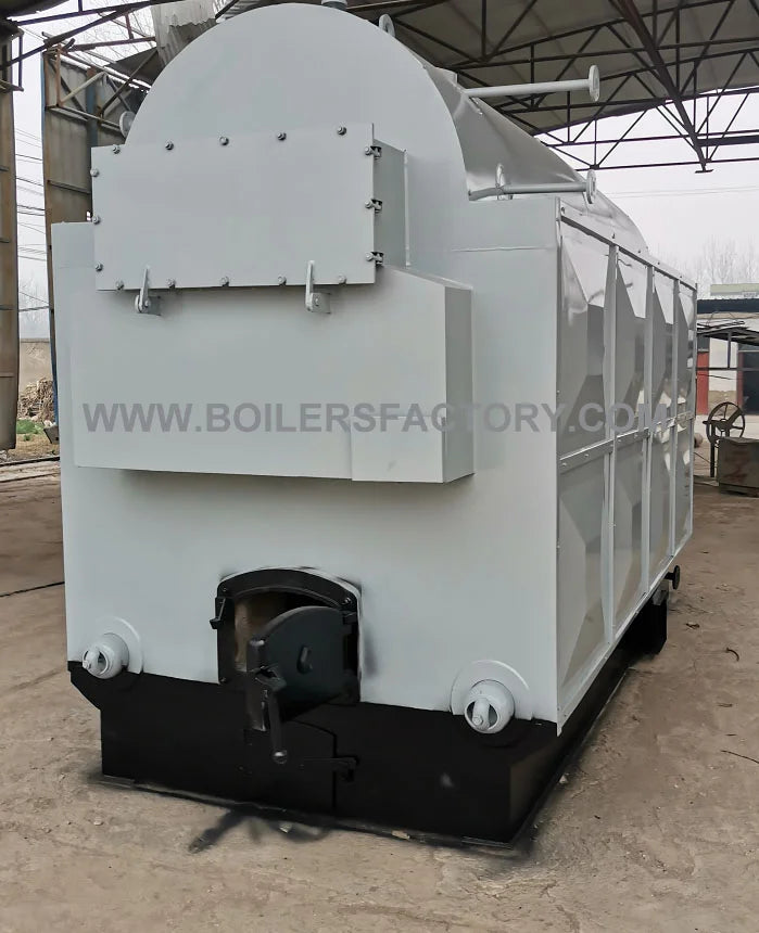 Coal and Biomass Fired Steam Boiler 2T 3T 4T 5T Capacity Steam Engine System for Rice Mill Automatic Feeding Low Emission