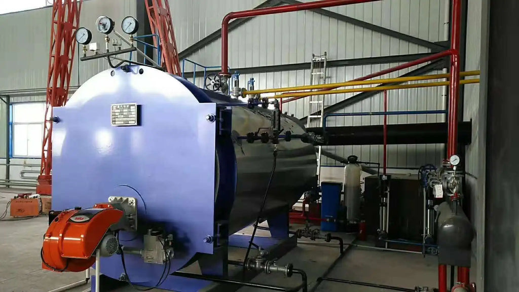 Coal and Biomass Fired Steam Boiler 2T 3T 4T 5T Capacity Steam Engine System for Rice Mill Automatic Feeding Low Emission
