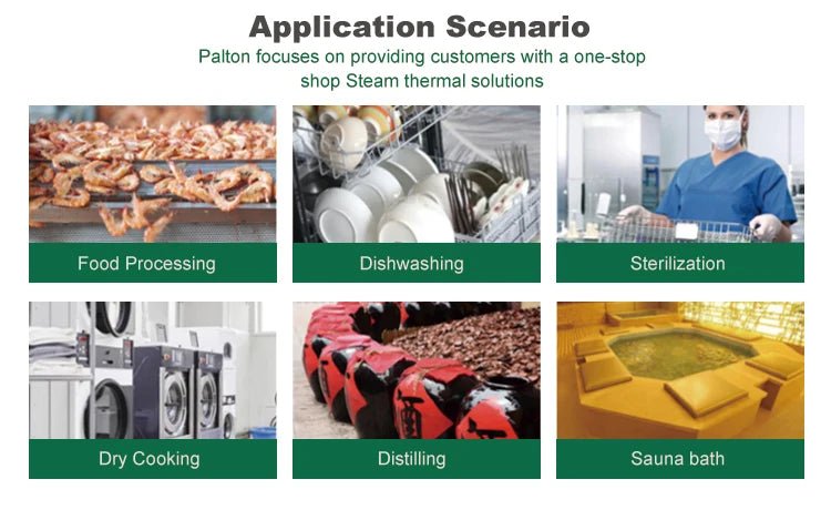 Customized Automatic Generator Steam Boiler Electric Industrial Provided Energy Saving Vertical Steam Generator 192Kw