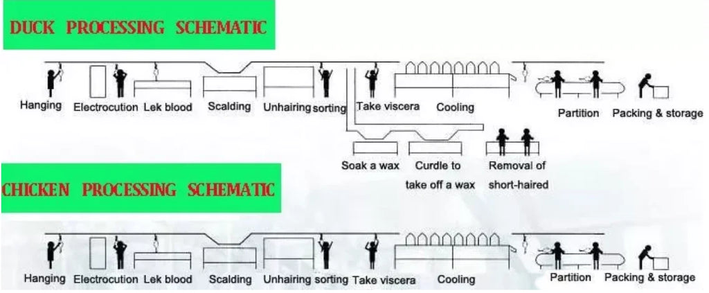 Factory Customized Chicken Slaughtering Line High Efficiency Poultry Slaughterhouse Commercial Slaughter Machine