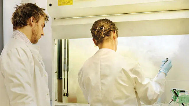 LaboratoryExhaust Hoods Fume Cupboards Chemical Biological All Steel Ducted Fume Cabinets Stainless Steel Worktop Fume Hood - Image 9