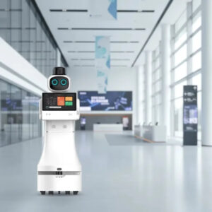 Customized Intelligent Auto Robot - Commercial Welcome Reception Service for Shopping Mall