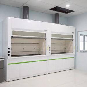 Customised Bioscience Laboratory Furniture Exhaust Cabinet Small Ductless Fume Hood for Chemical Equipment